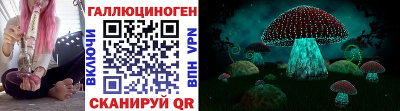 Купить  Мурманск  Псилоцибиновые грибы Psilocybe 